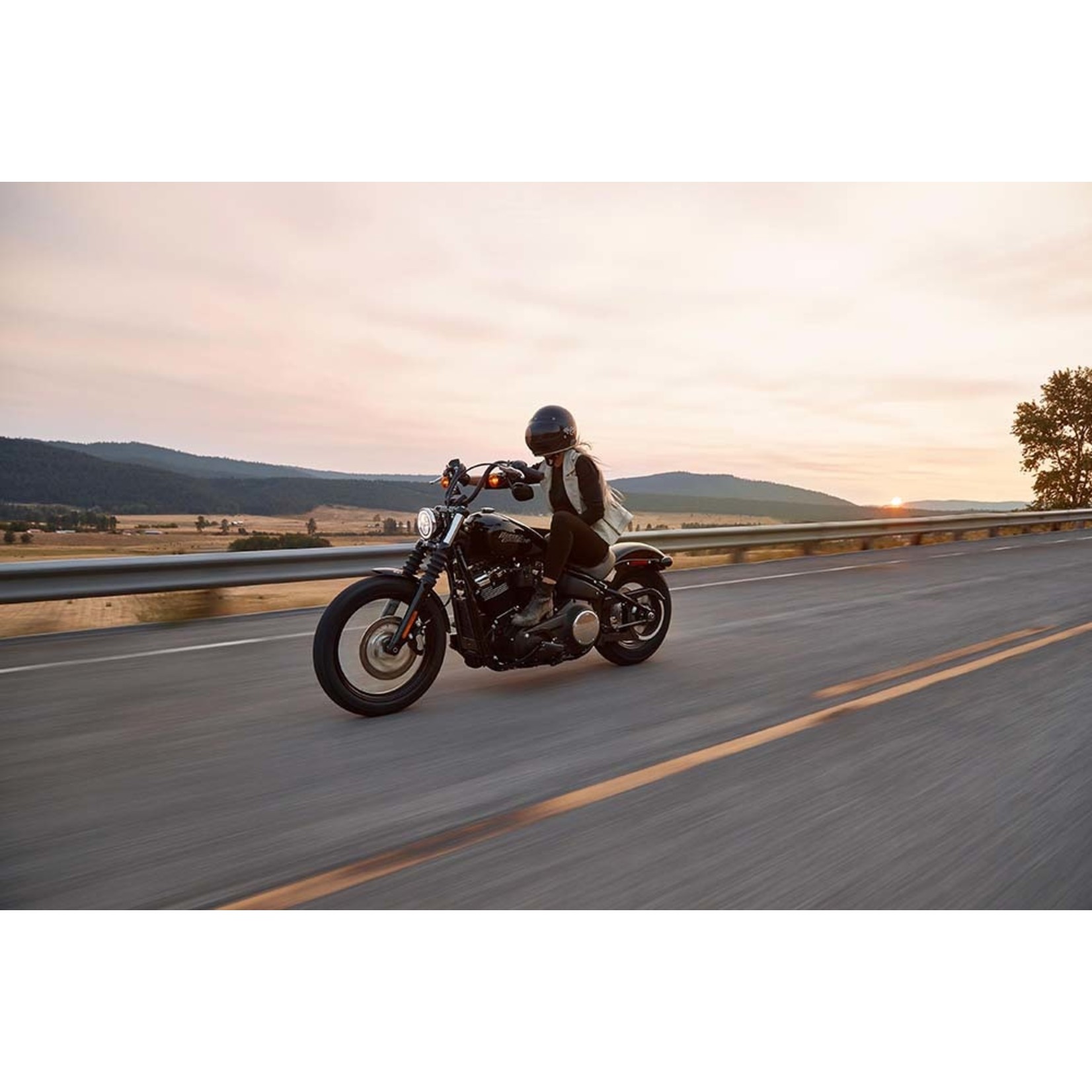 Facemount Acrylic: Easy Harley Rider by N. David