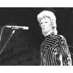 Getty Images Gallery David Bowie