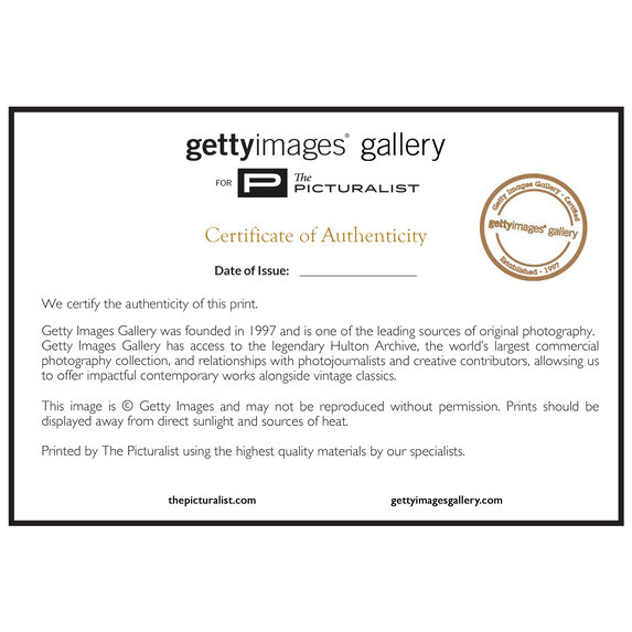 Getty Images Gallery Crystal Radiolarian Elegance
