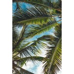 Framed Print on Rag Paper: Tropical Dream