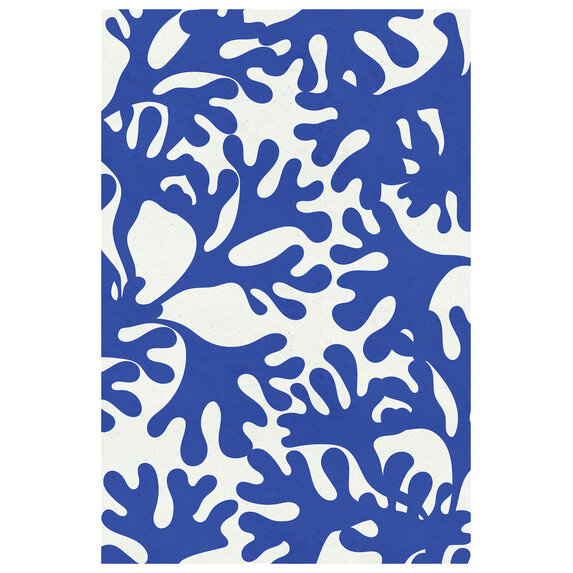 The Picturalist | Fine Art Prints on Paper Sea Flora 4 by Alejandro Franseschini