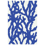 Fine Art Print on Rag Paper Sea Flora 3