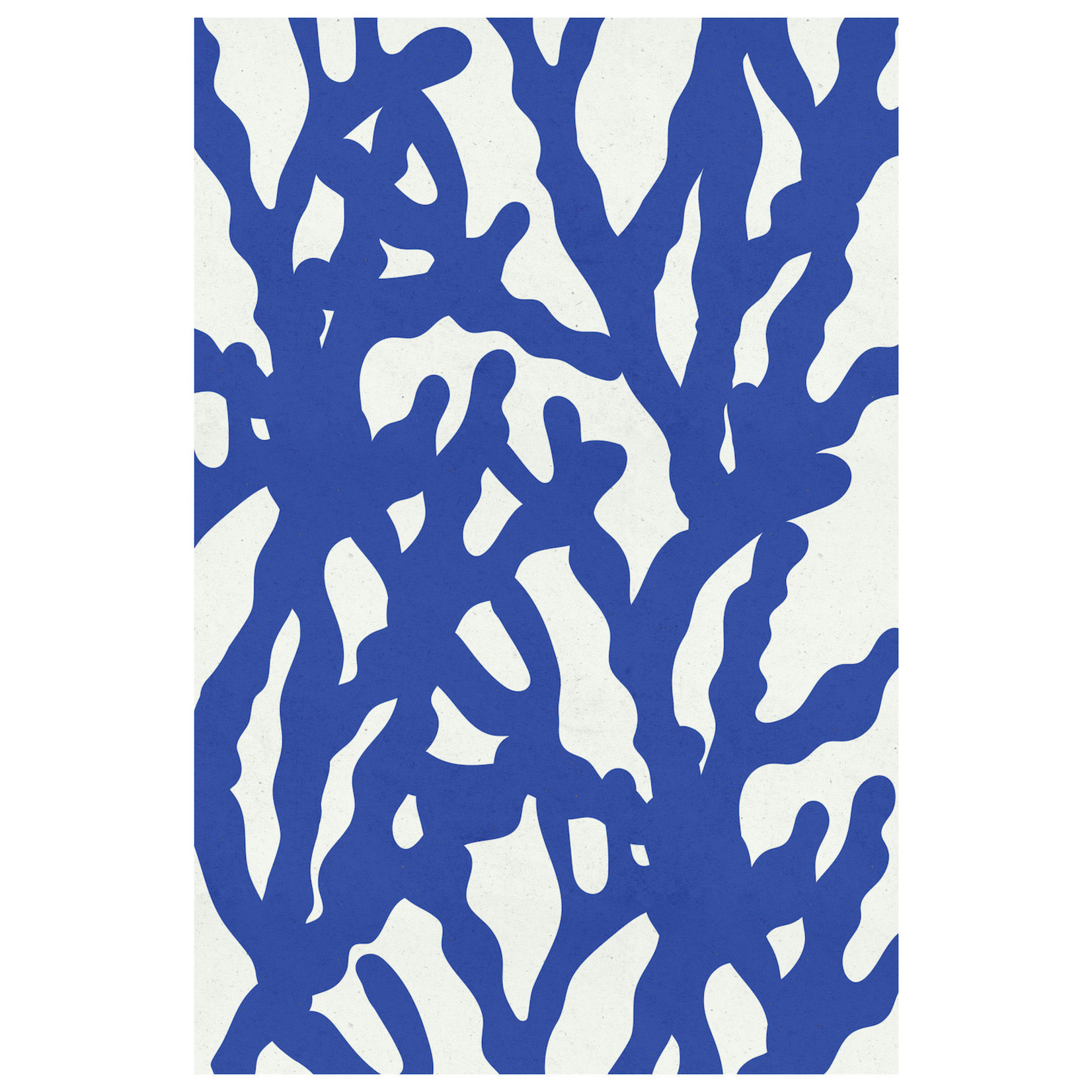 The Picturalist | Fine Art Prints on Paper Sea Flora 3 by Alejandro Franseschini