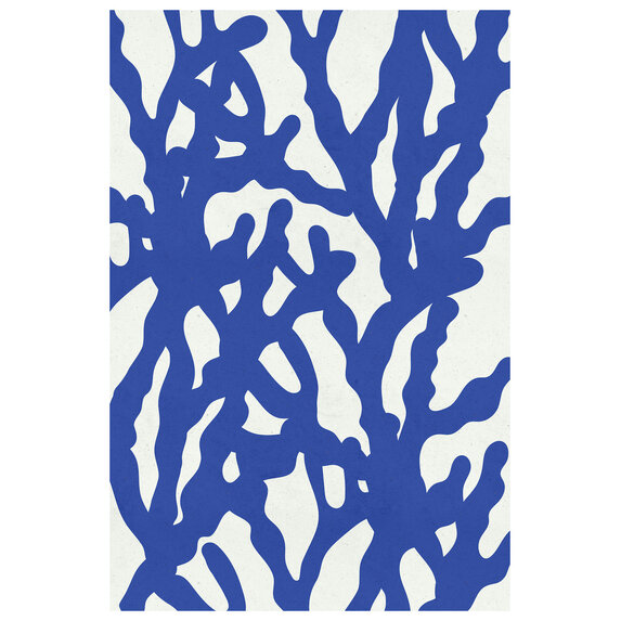 The Picturalist | Fine Art Prints on Paper Sea Flora 3 by Alejandro Franseschini