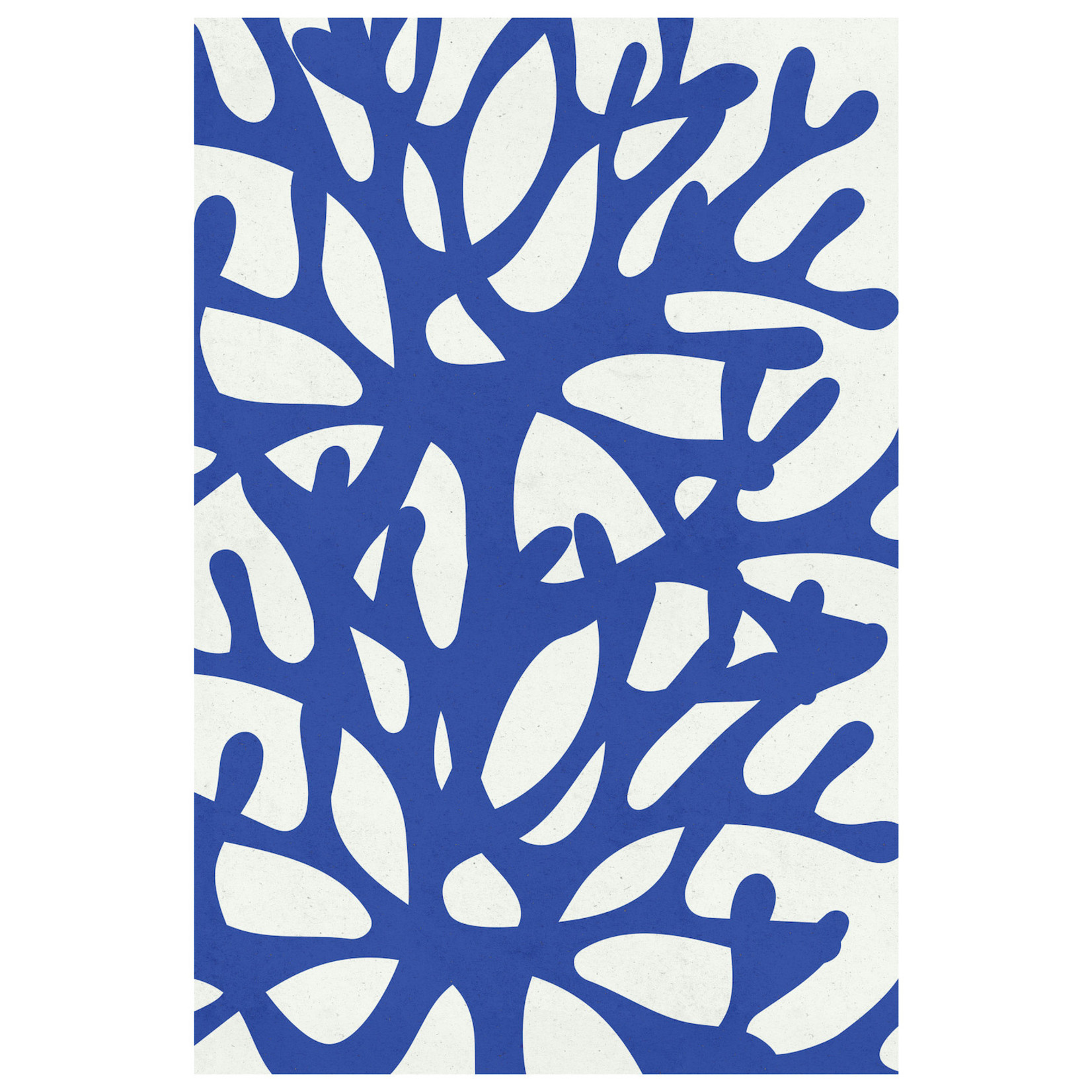The Picturalist | Fine Art Prints on Paper Sea Flora 2 by Alejandro Franseschini