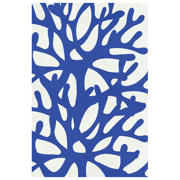 The Picturalist | Fine Art Prints on Paper Sea Flora 2 by Alejandro Franseschini