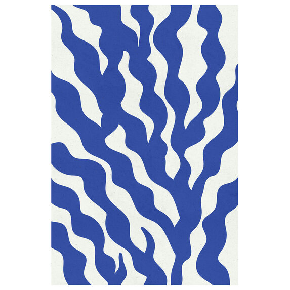 The Picturalist | Fine Art Prints on Paper Sea Flora 1 by Alejandro Franseschini