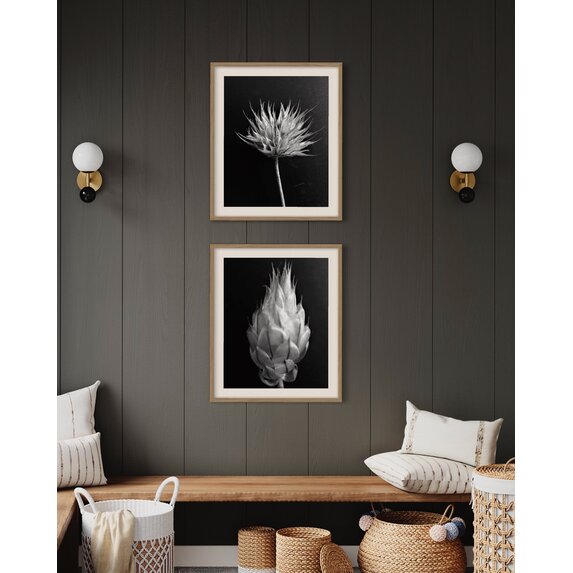 The Picturalist | Fine Art Photo Ble  by Eric Gizard