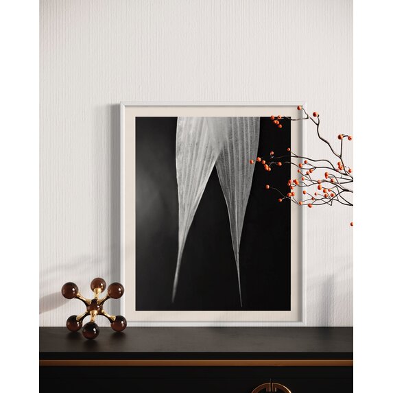 The Picturalist | Fine Art Photo Avoine en Fleur by Eric Gizard