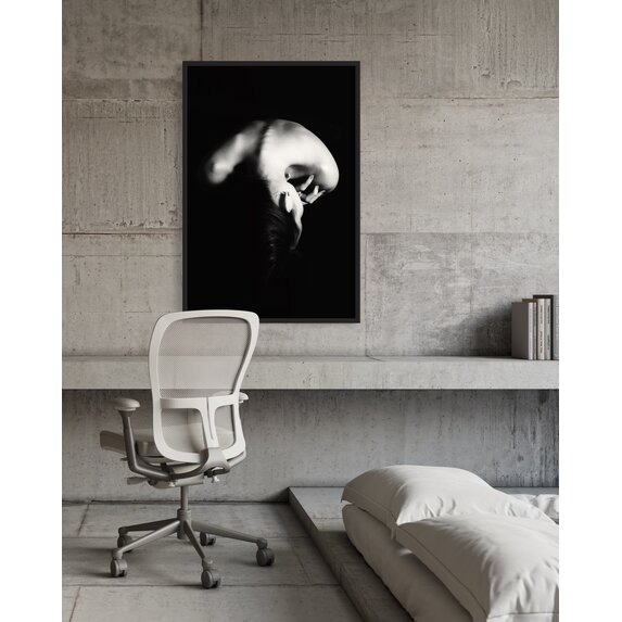 The Picturalist | Fine Art Prints on Paper In Peace by J. Alzate