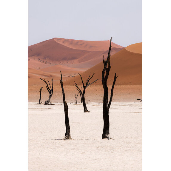 Fine Art Print on Rag Paper Desert Landscape by A. Francis