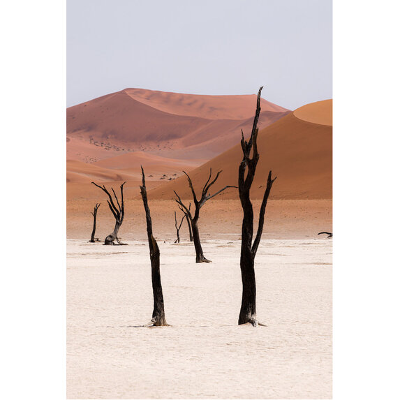 The Picturalist | Fine Art Prints on Paper Desert Landscape by A. Francis