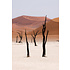 The Picturalist | Fine Art Prints on Paper Desert Landscape by A. Francis