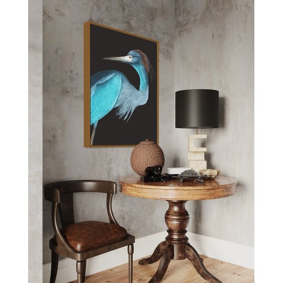 The Picturalist | Print on Canvas Blue Crane (Rectangular) by John James Audubon