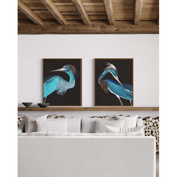 The Picturalist | Print on Canvas Blue Crane (Rectangular) by John James Audubon