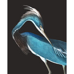 Stretched Print on Canvas Blue Heron (Rectangular)