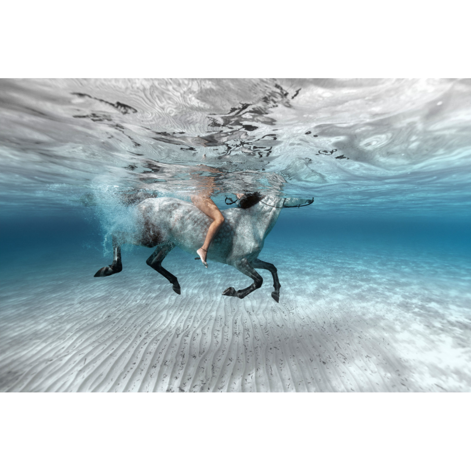 Fine Art Print on Rag Paper Swimming With A Horse on Acrylic by Enric Gener