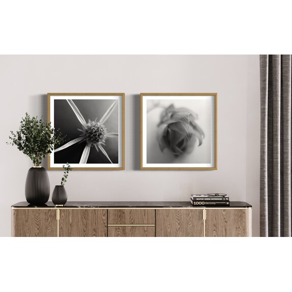 The Picturalist | Fine Art Photo Épi by Eric Gizard