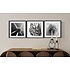 The Picturalist | Fine Art Photo Épi by Eric Gizard