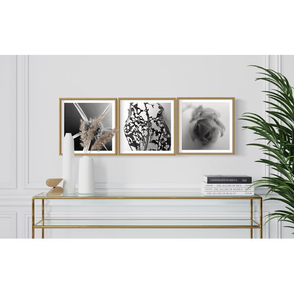 The Picturalist | Fine Art Photo Épi by Eric Gizard
