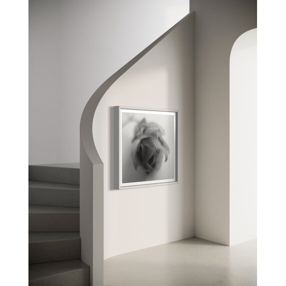 The Picturalist | Fine Art Photo Épi by Eric Gizard