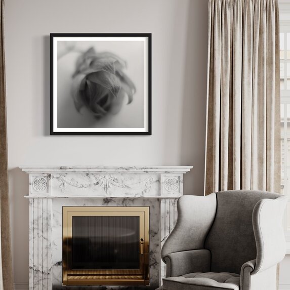 The Picturalist | Fine Art Photo Épi by Eric Gizard