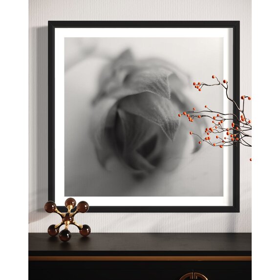 The Picturalist | Fine Art Photo Épi by Eric Gizard