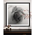 The Picturalist | Fine Art Photo Épi by Eric Gizard