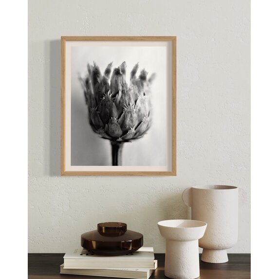 The Picturalist | Fine Art Photo Fleur de Chardon Photography by Eric Gizard