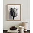 The Picturalist | Fine Art Photo Fleur de Chardon Photography by Eric Gizard