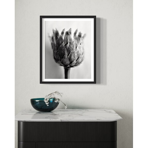 The Picturalist | Fine Art Photo Fleur de Chardon Photography by Eric Gizard