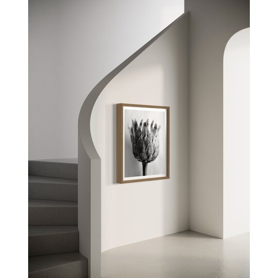 The Picturalist | Fine Art Photo Fleur de Chardon Photography by Eric Gizard