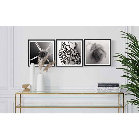 The Picturalist | Fine Art Photo Fleur Etoile by Eric Gizard