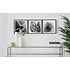 The Picturalist | Fine Art Photo Fleur Etoile by Eric Gizard