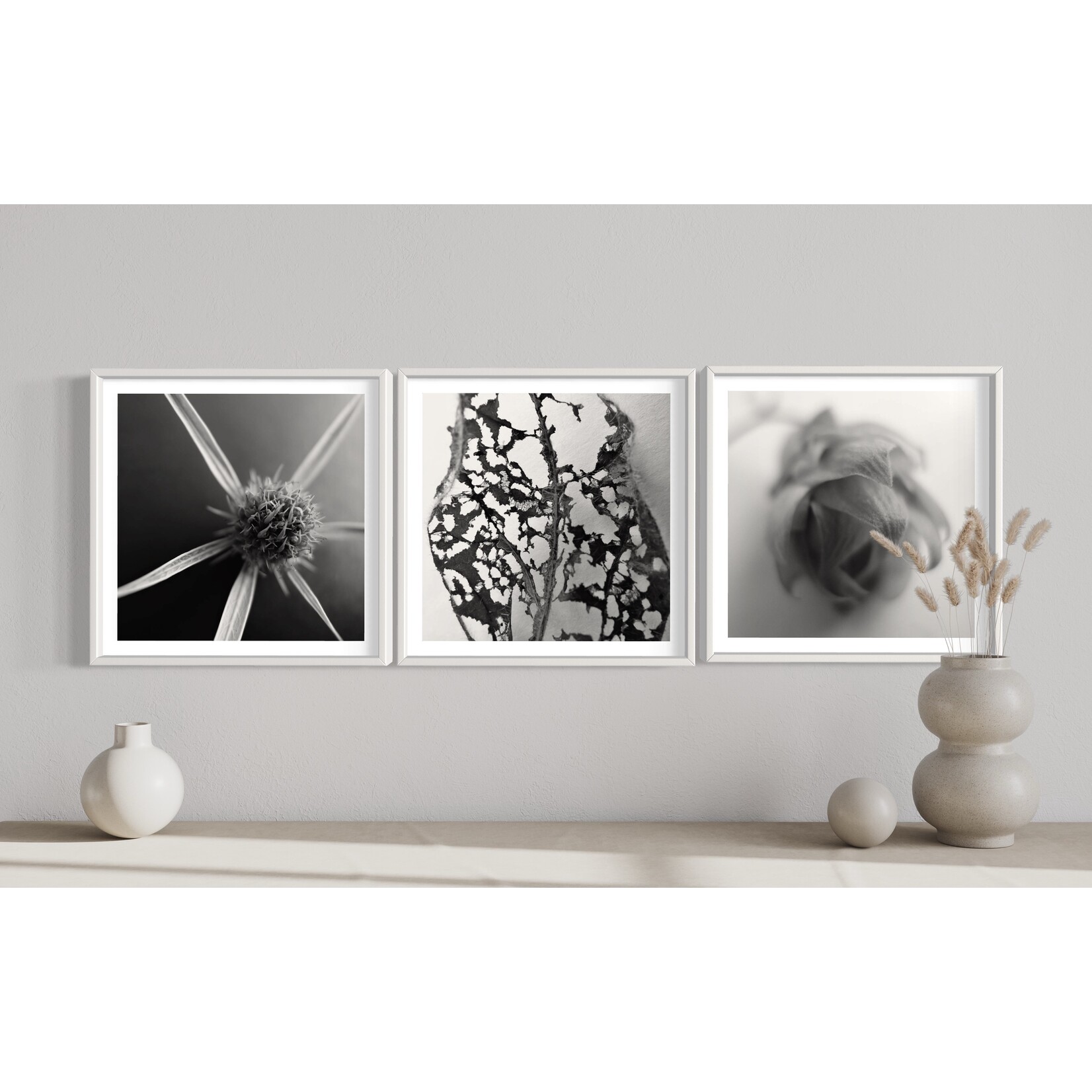 The Picturalist | Fine Art Photo Fleur Etoile by Eric Gizard