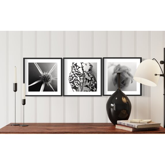 The Picturalist | Fine Art Photo Fleur Etoile by Eric Gizard