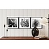 The Picturalist | Fine Art Photo Fleur Etoile by Eric Gizard