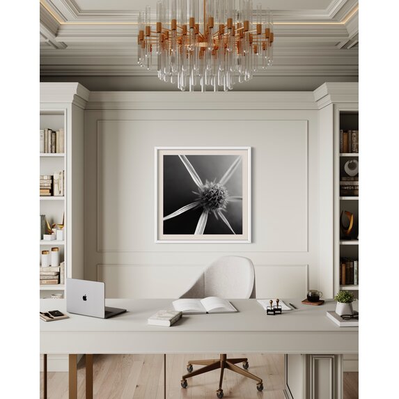 The Picturalist | Fine Art Photo Fleur Etoile by Eric Gizard