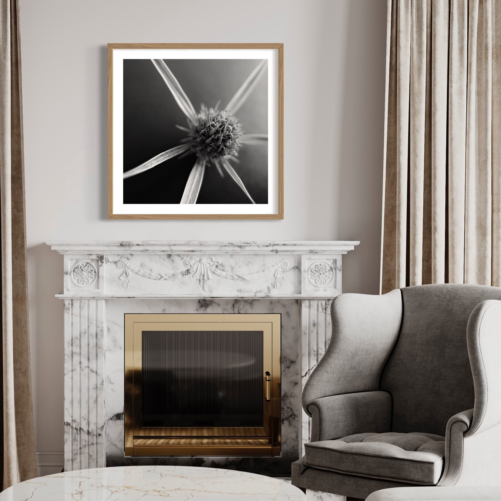 The Picturalist | Fine Art Photo Fleur Etoile by Eric Gizard