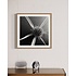 The Picturalist | Fine Art Photo Fleur Etoile by Eric Gizard