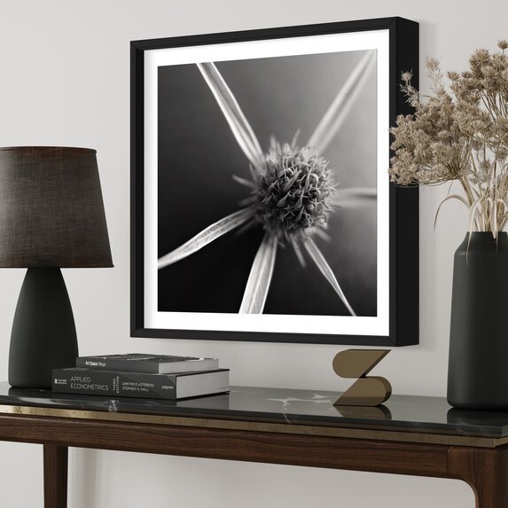 The Picturalist | Fine Art Photo Fleur Etoile by Eric Gizard