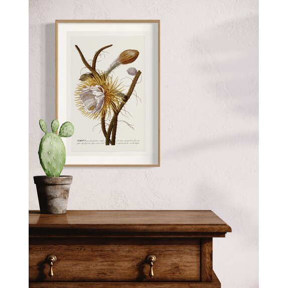 The Picturalist | Fine Art Prints on Paper Cereus Botanical Print