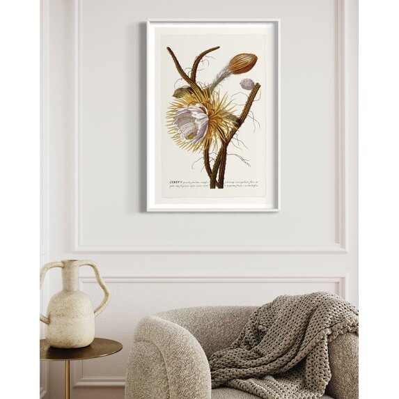 The Picturalist | Fine Art Prints on Paper Cereus Botanical Print