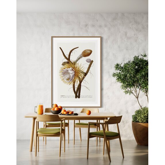 The Picturalist | Fine Art Prints on Paper Cereus Botanical Print