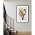 The Picturalist | Fine Art Prints on Paper Cereus Botanical Print
