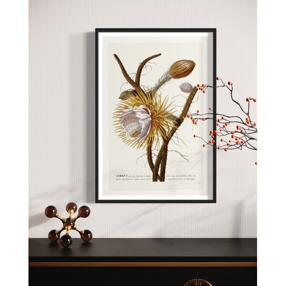 Fine Art Print on Rag Paper Cereus Botanical Print