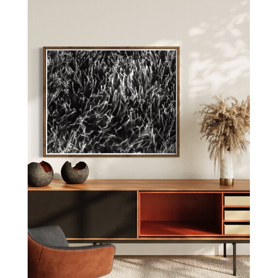 The Picturalist | Fine Art Photo Grass Splendor by David Hoefler