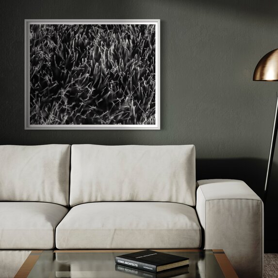 The Picturalist | Fine Art Photo Grass Splendor by David Hoefler
