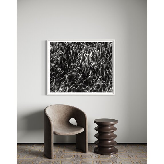The Picturalist | Fine Art Photo Grass Splendor by David Hoefler
