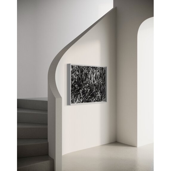 The Picturalist | Fine Art Photo Grass Splendor by David Hoefler